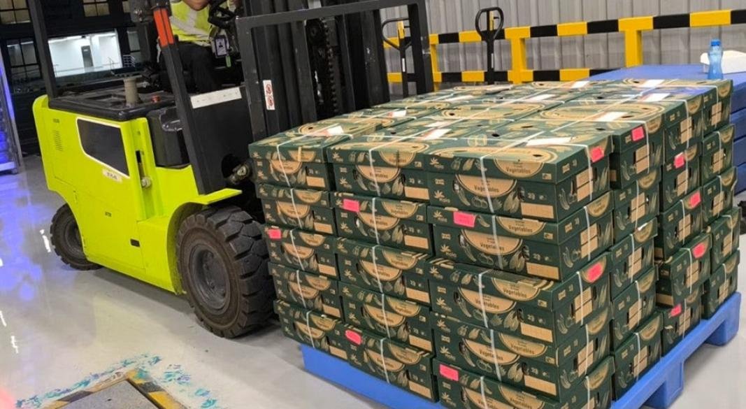 Air India Cargo flies first international export shipment out of Navi Mumbai